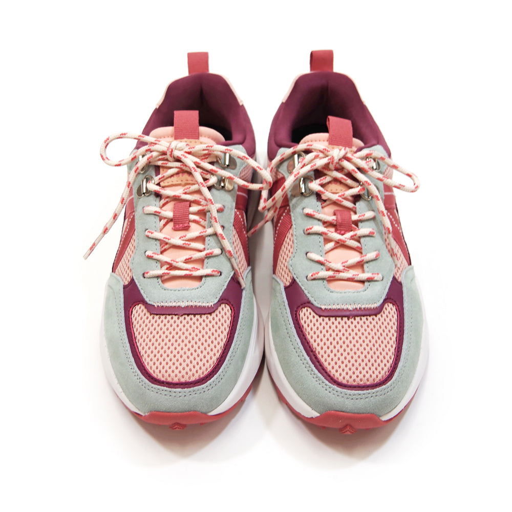 VISION TREK SAGE WINE SAUCE